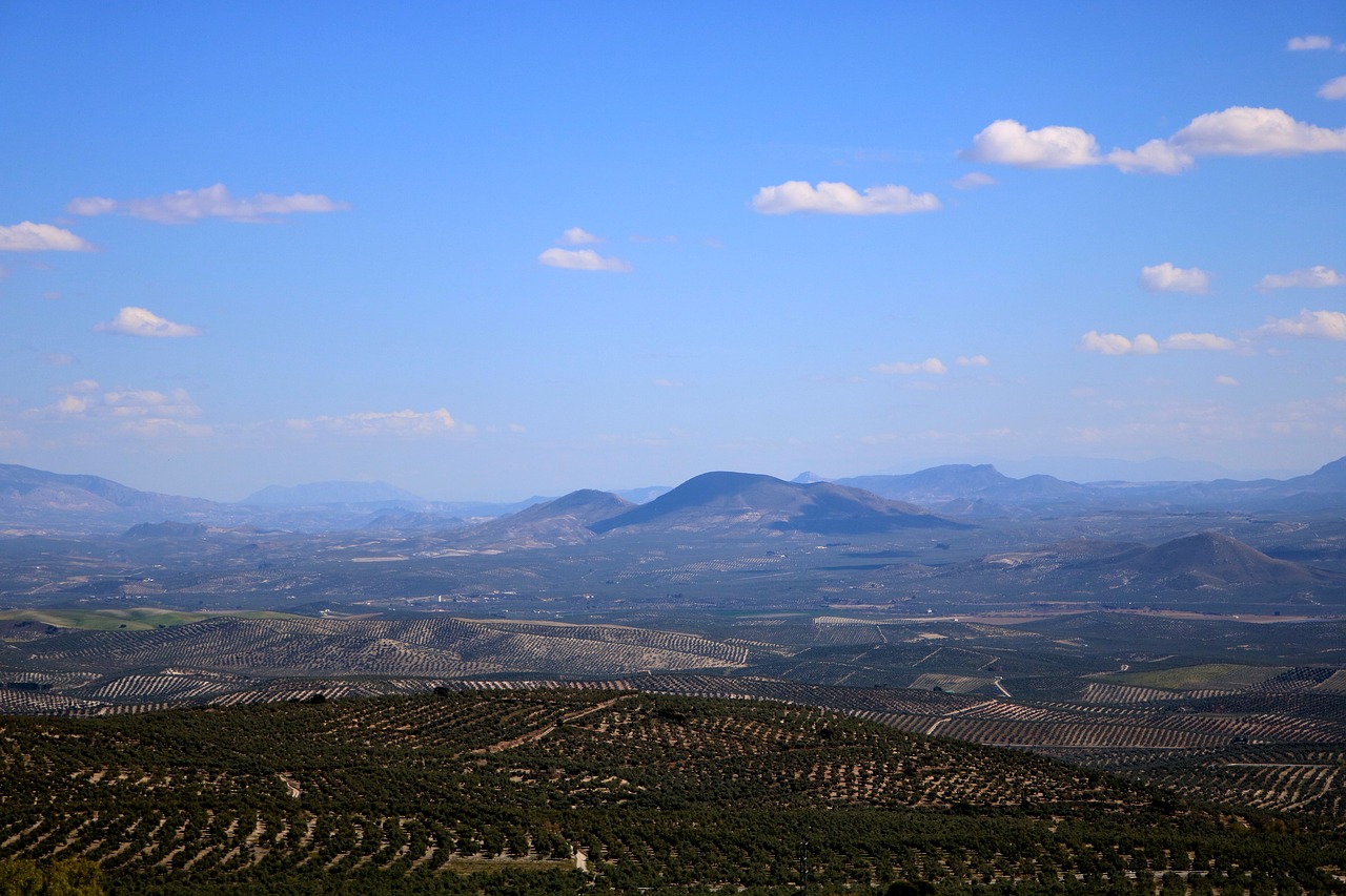 landscape  baeza  valley of the guadalquivir free photo