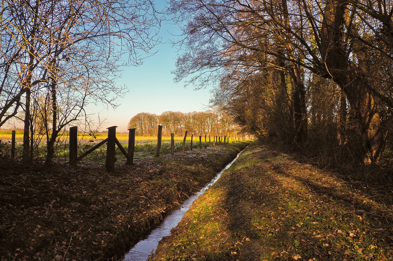 landscape  bach  nature free photo