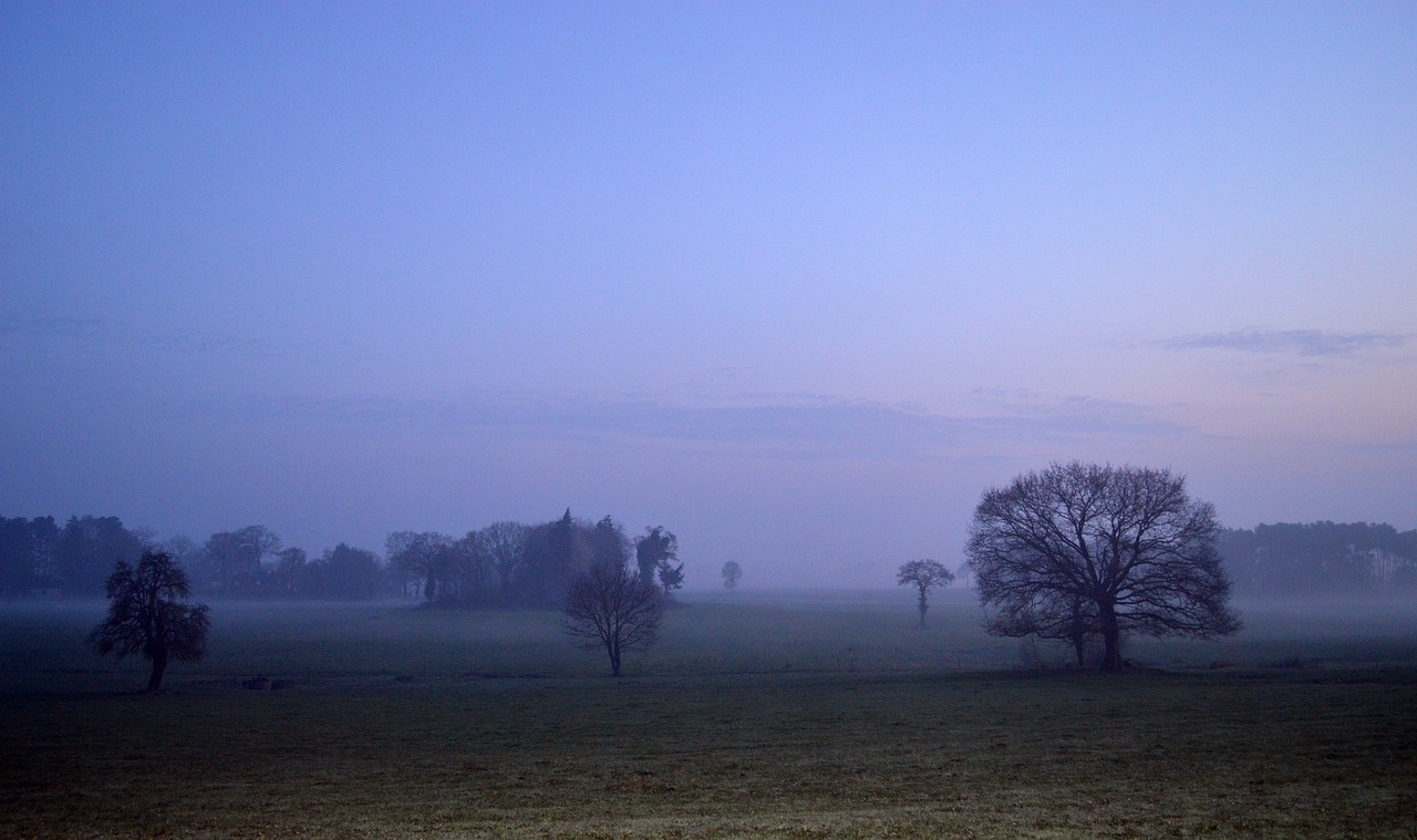 landscape  field  nature free photo