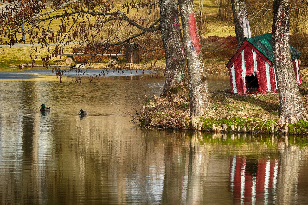 landscape  nature  lake free photo