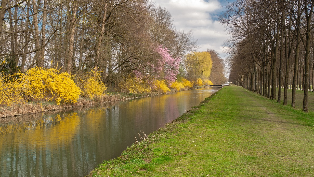 landscape  trees  bank free photo