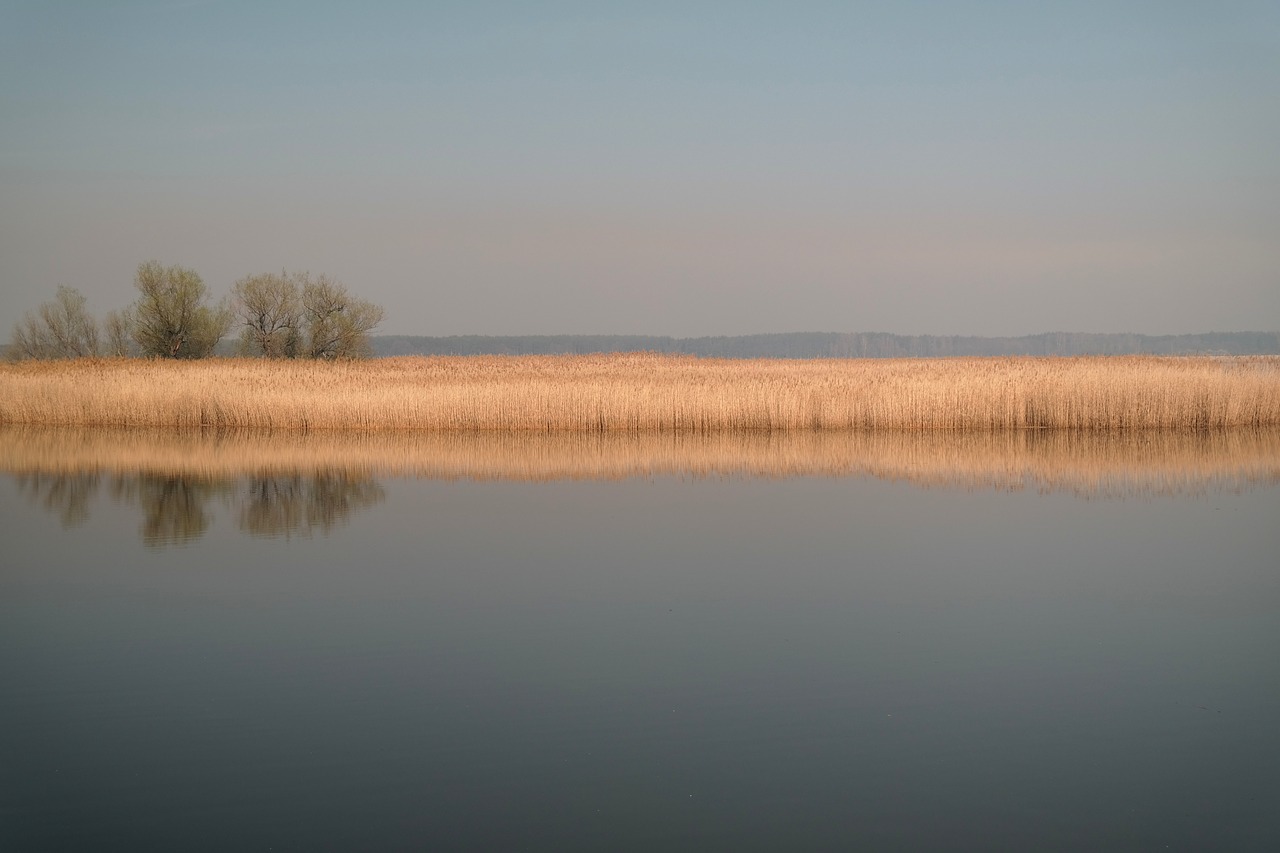 landscape  nature  waters free photo