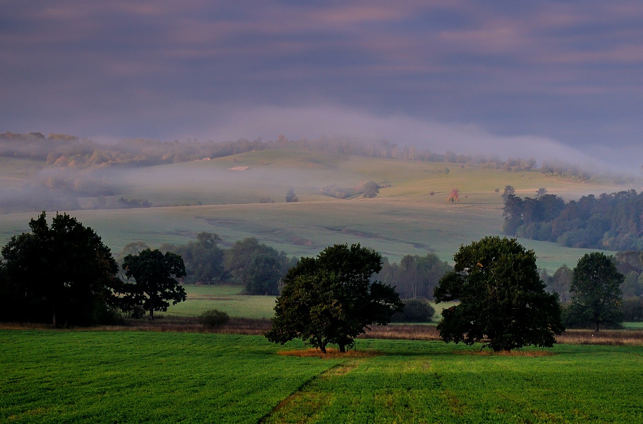 landscape fog morning free photo