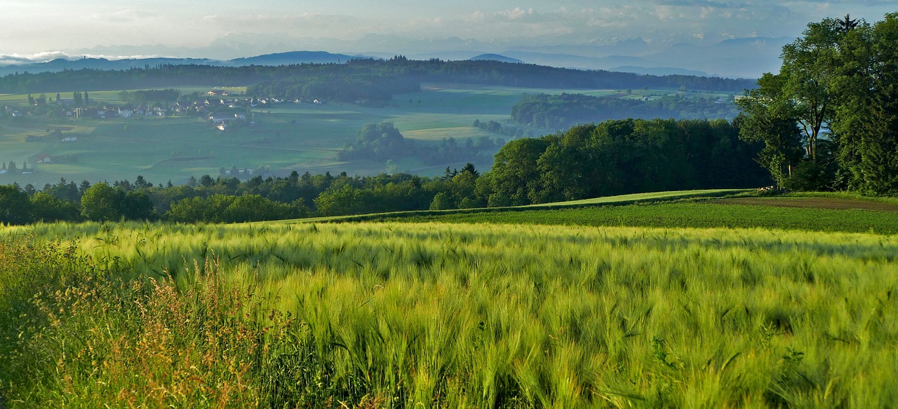 landscape  switzerland  zurich free photo