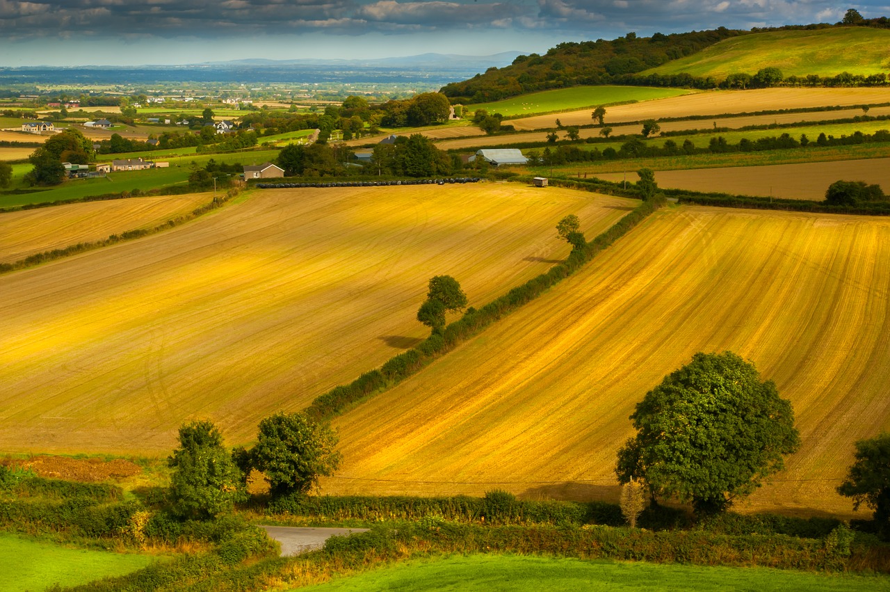 landscape  fields  agriculture free photo