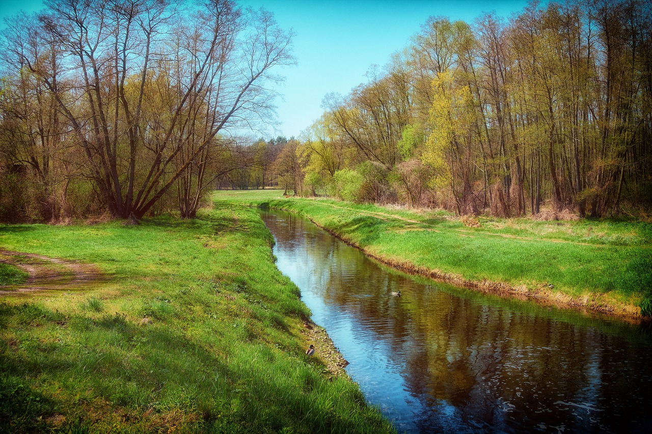 landscape  nature  river free photo