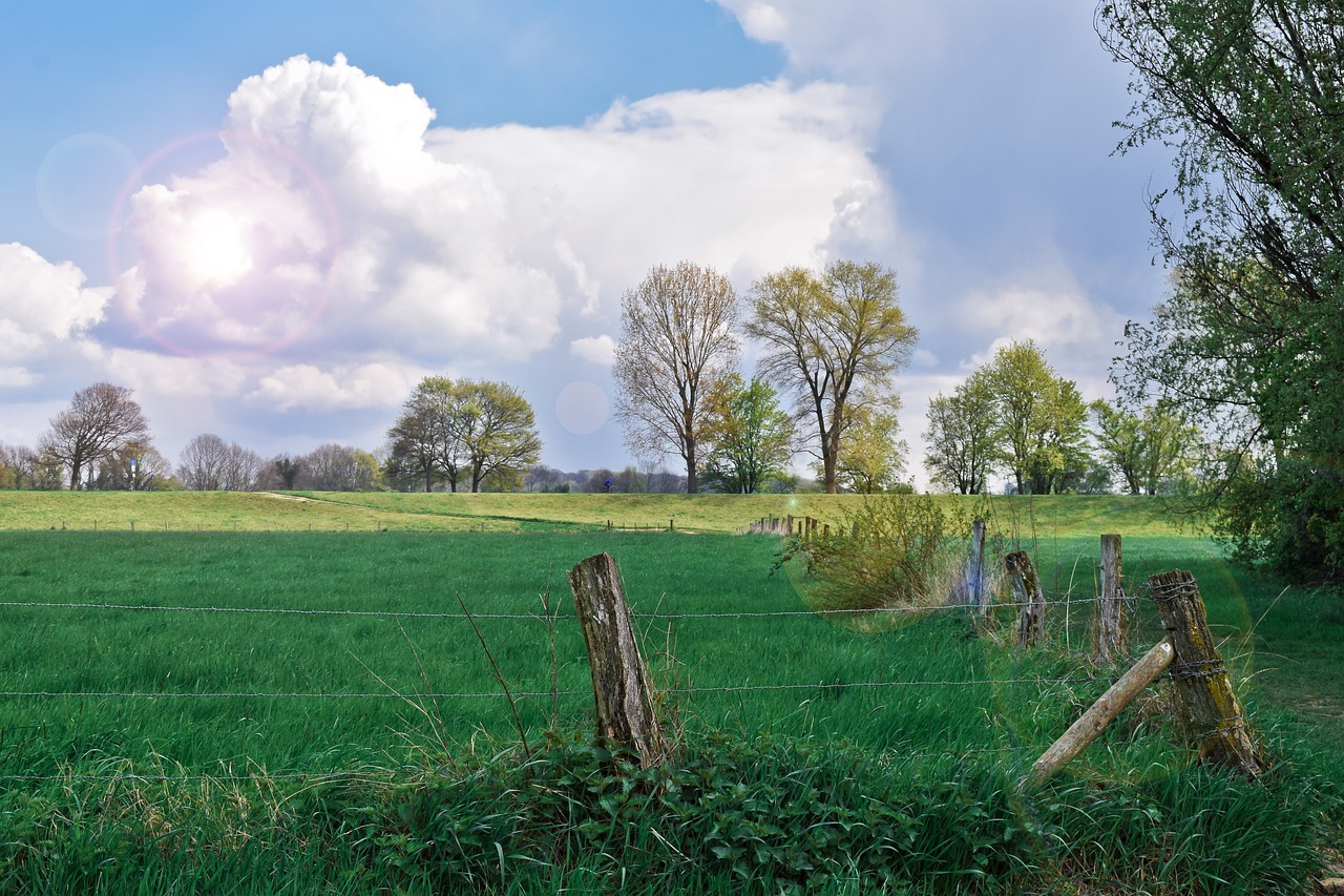 landscape  auen  nature free photo