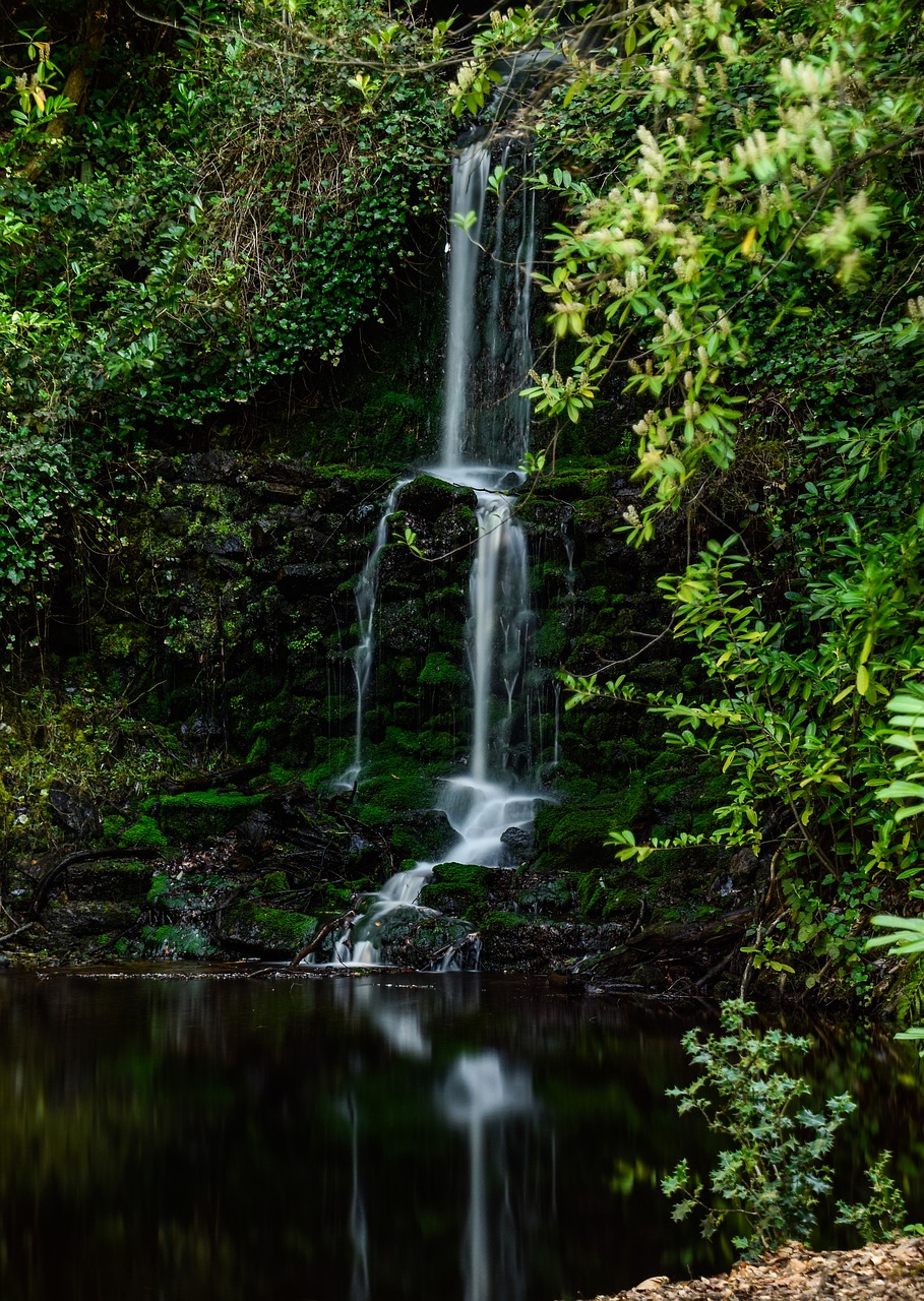 landscape  nature  waterfall free photo