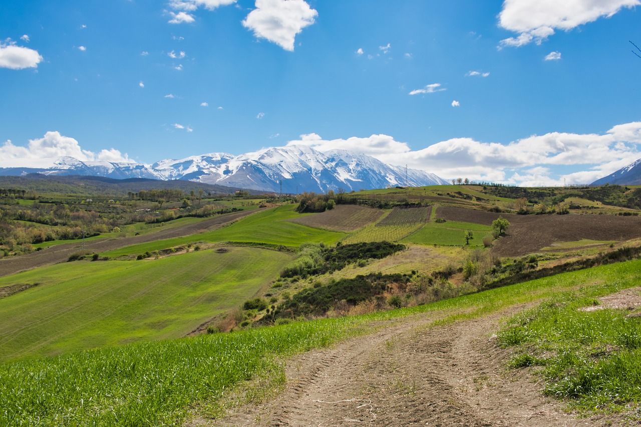 landscape  green  nature free photo