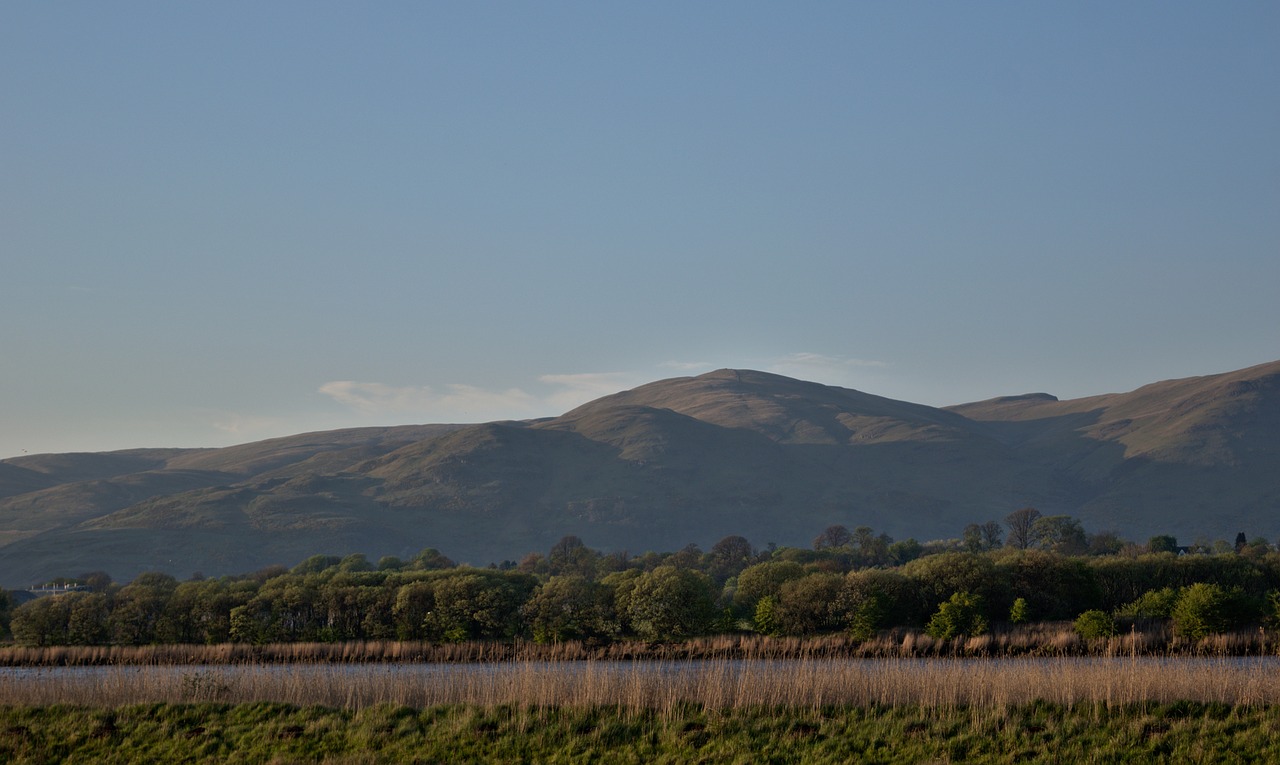 landscape  hillside  countryside free photo