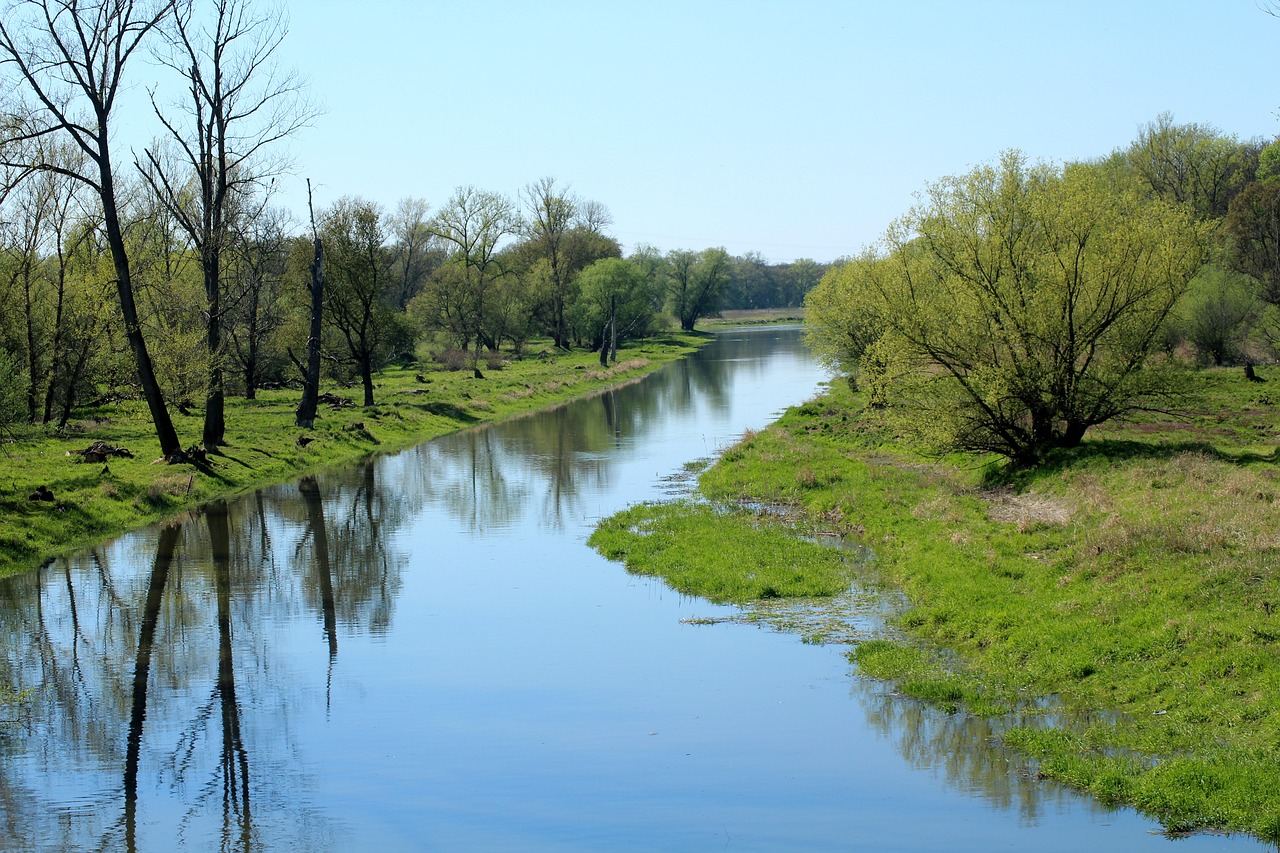 landscape  scenery  spring free photo