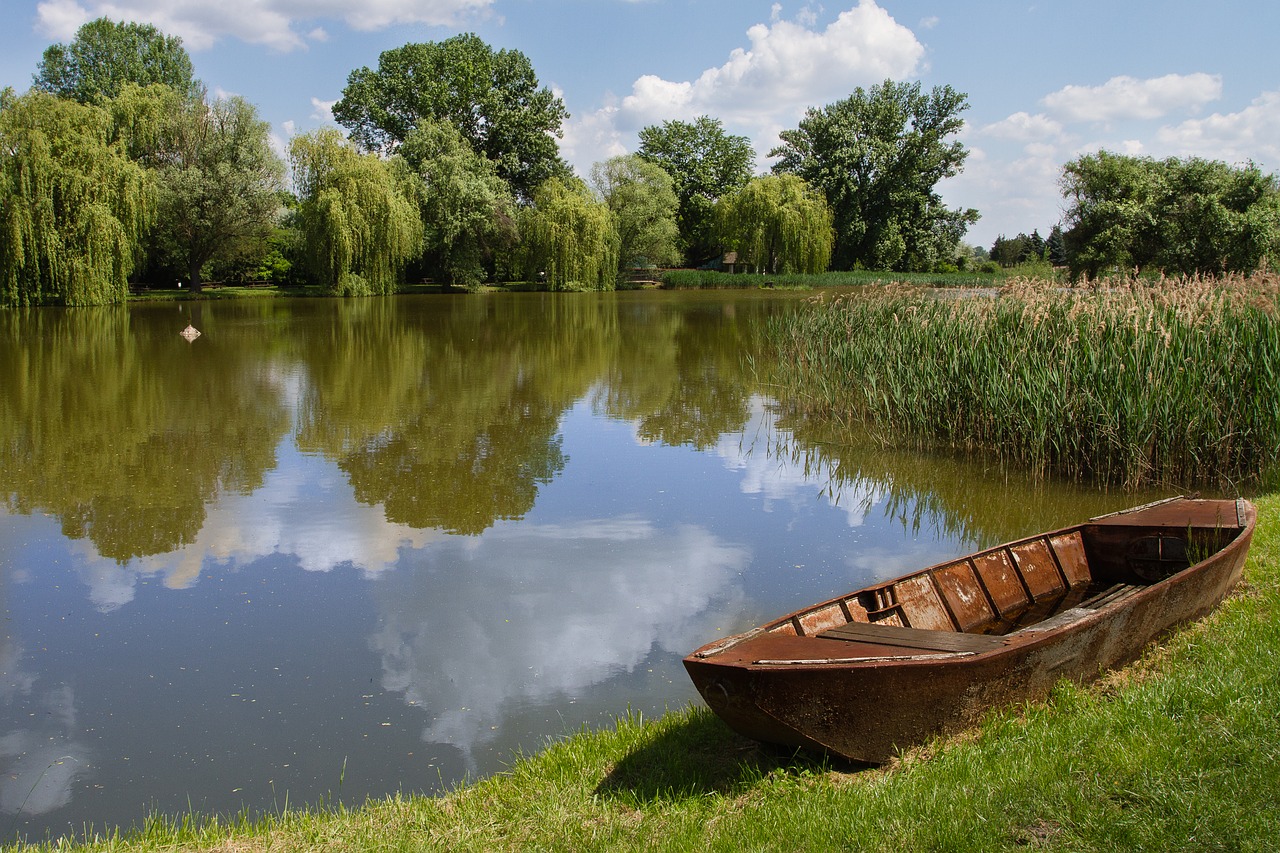 landscape  lakeside  waterfront free photo