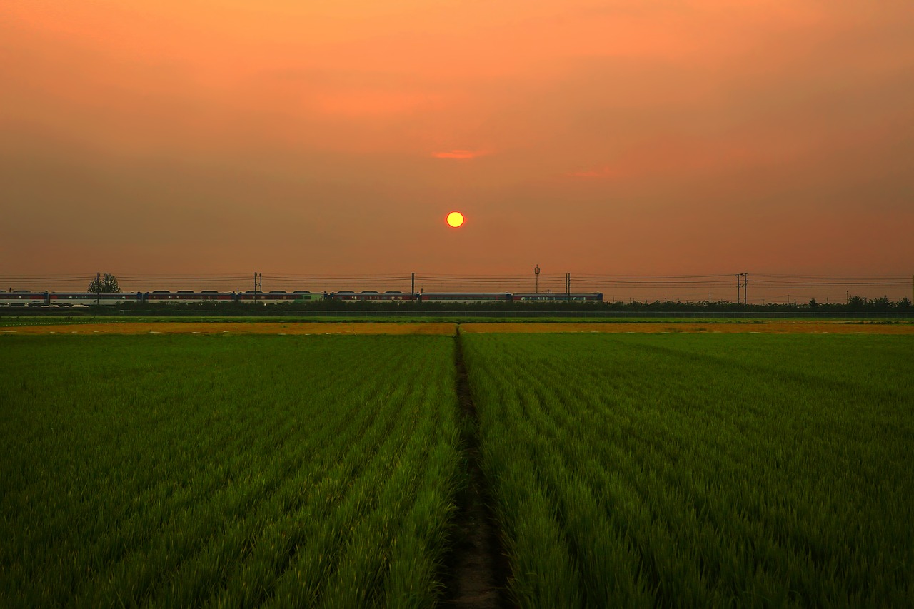 landscape  sunset  train free photo