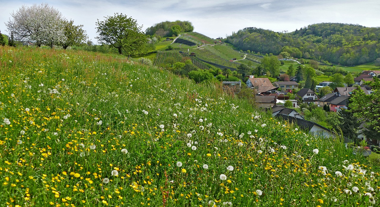 landscape  switzerland  aargau free photo