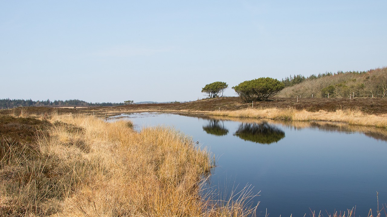 landscape  lake  heath trees free photo