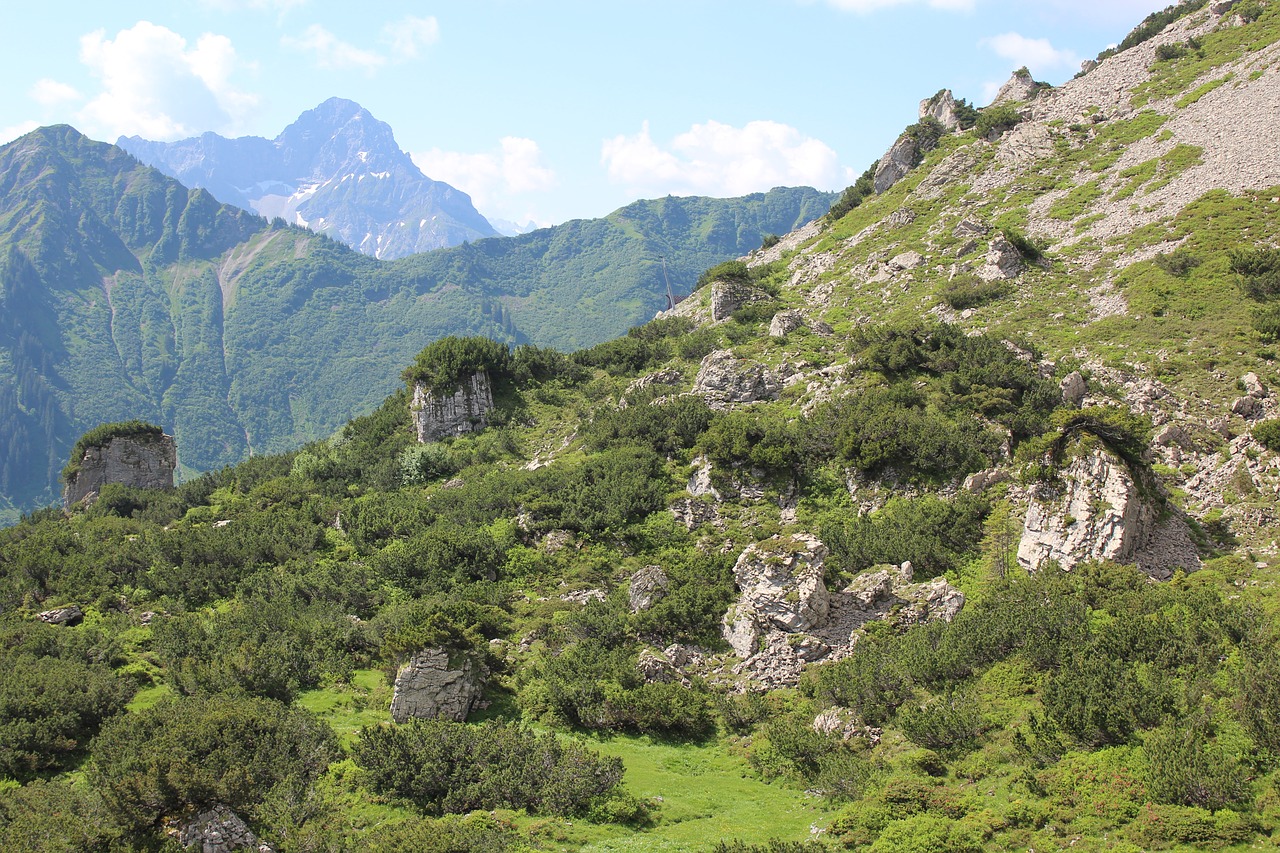 landscape  trees  high mountains free photo