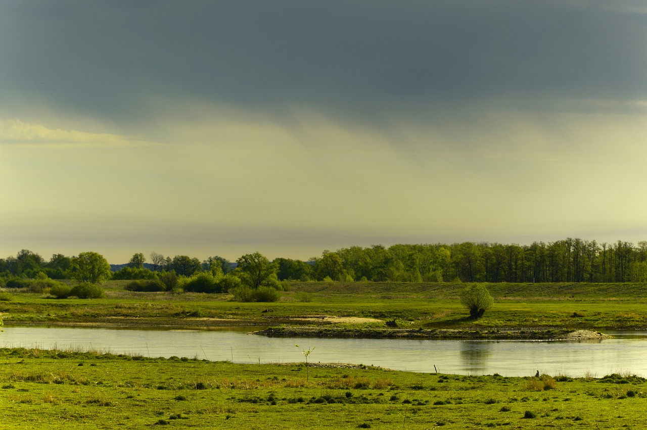 landscape  river  river valley free photo