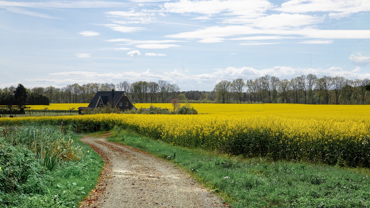 landscape  house  nature free photo