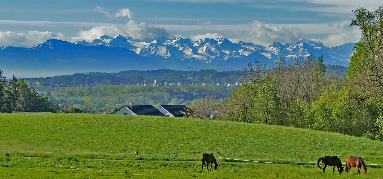 landscape  switzerland  aargau free photo