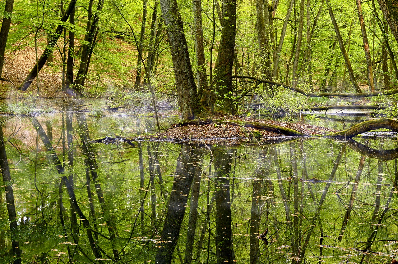 landscape  water  creek free photo