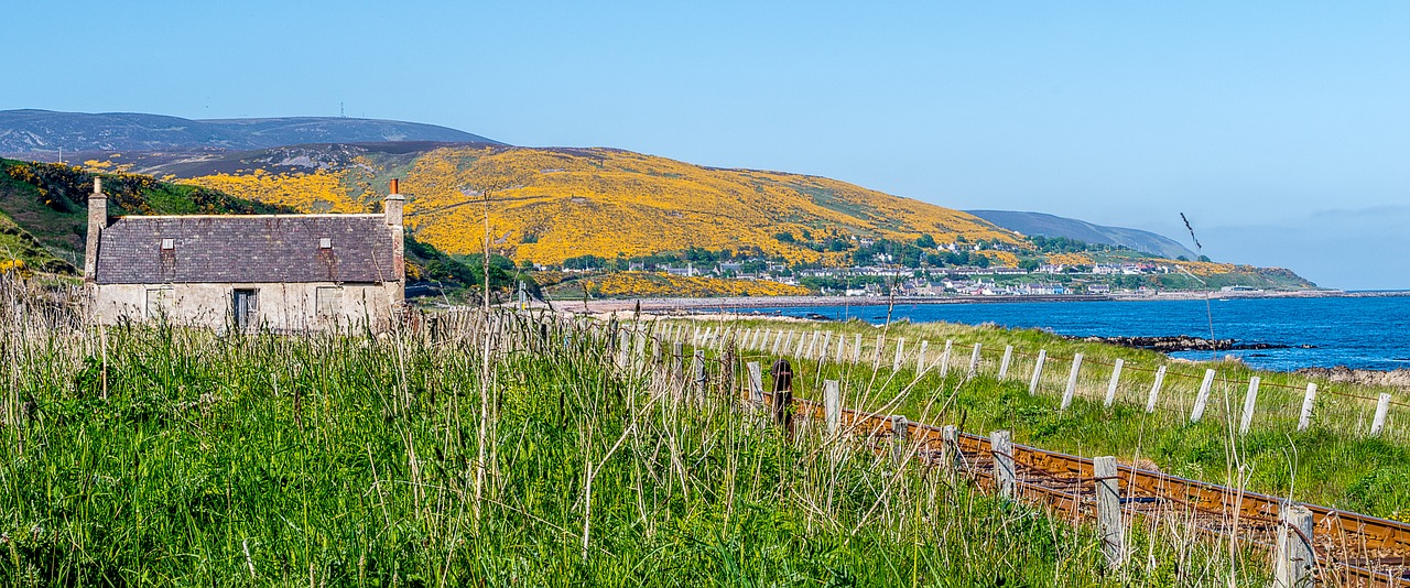 landscape  sea  gorse free photo