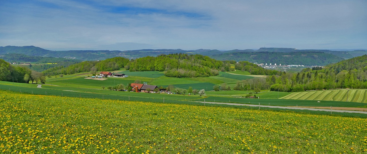 landscape  switzerland  aargau free photo