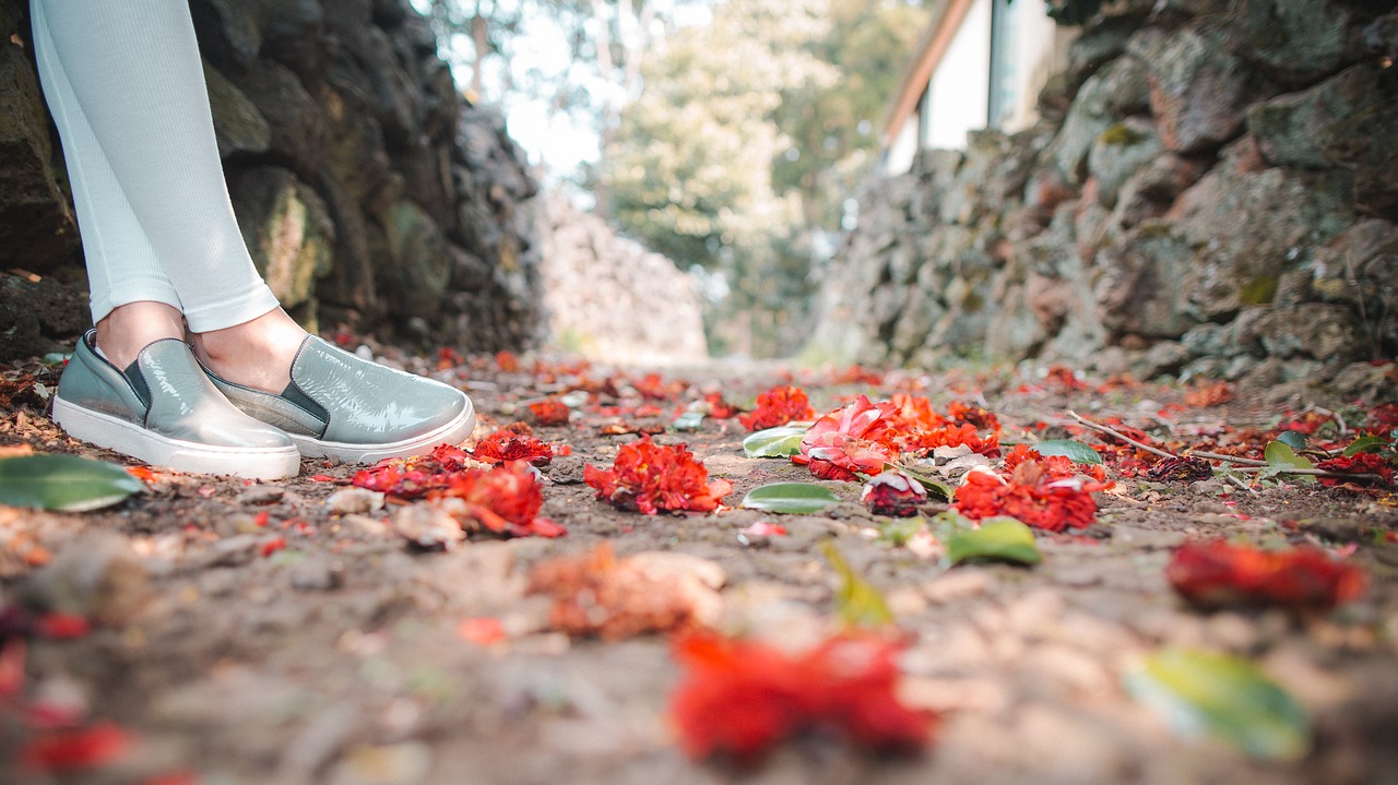 landscape  leaves  autumn free photo