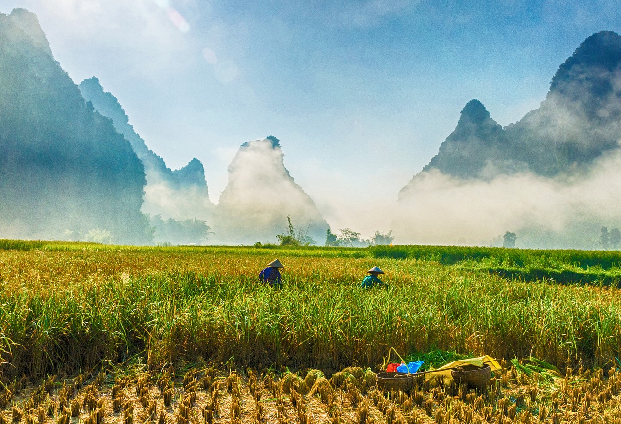 landscape  landscape vietnam  mountains free photo