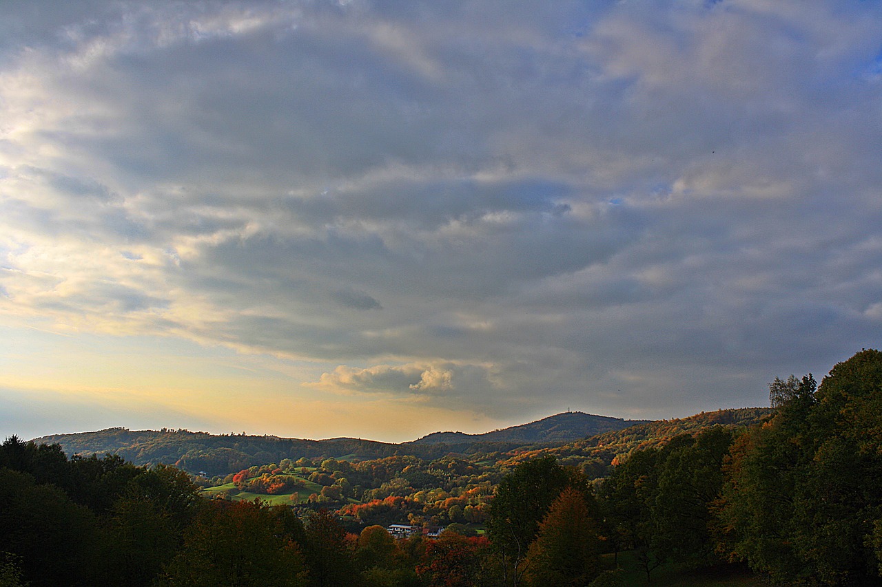 landscape  nature  autumn free photo