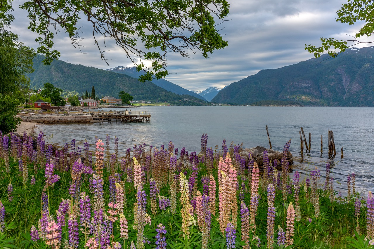 landscape  fjord  nature free photo