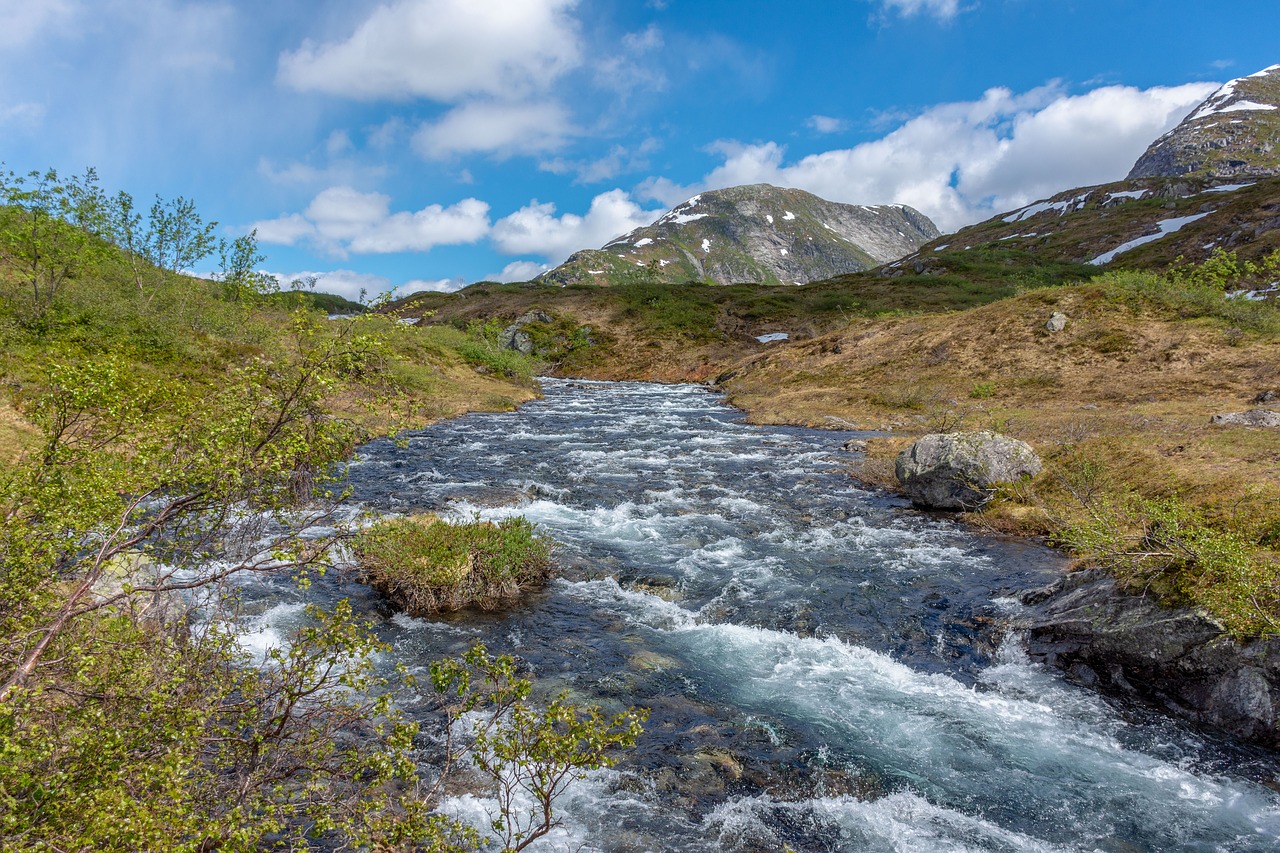 landscape  nature  panorama free photo