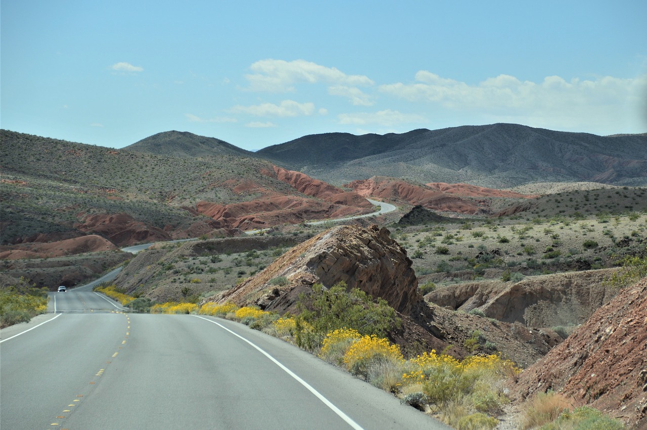 landscape  nevada  desert free photo