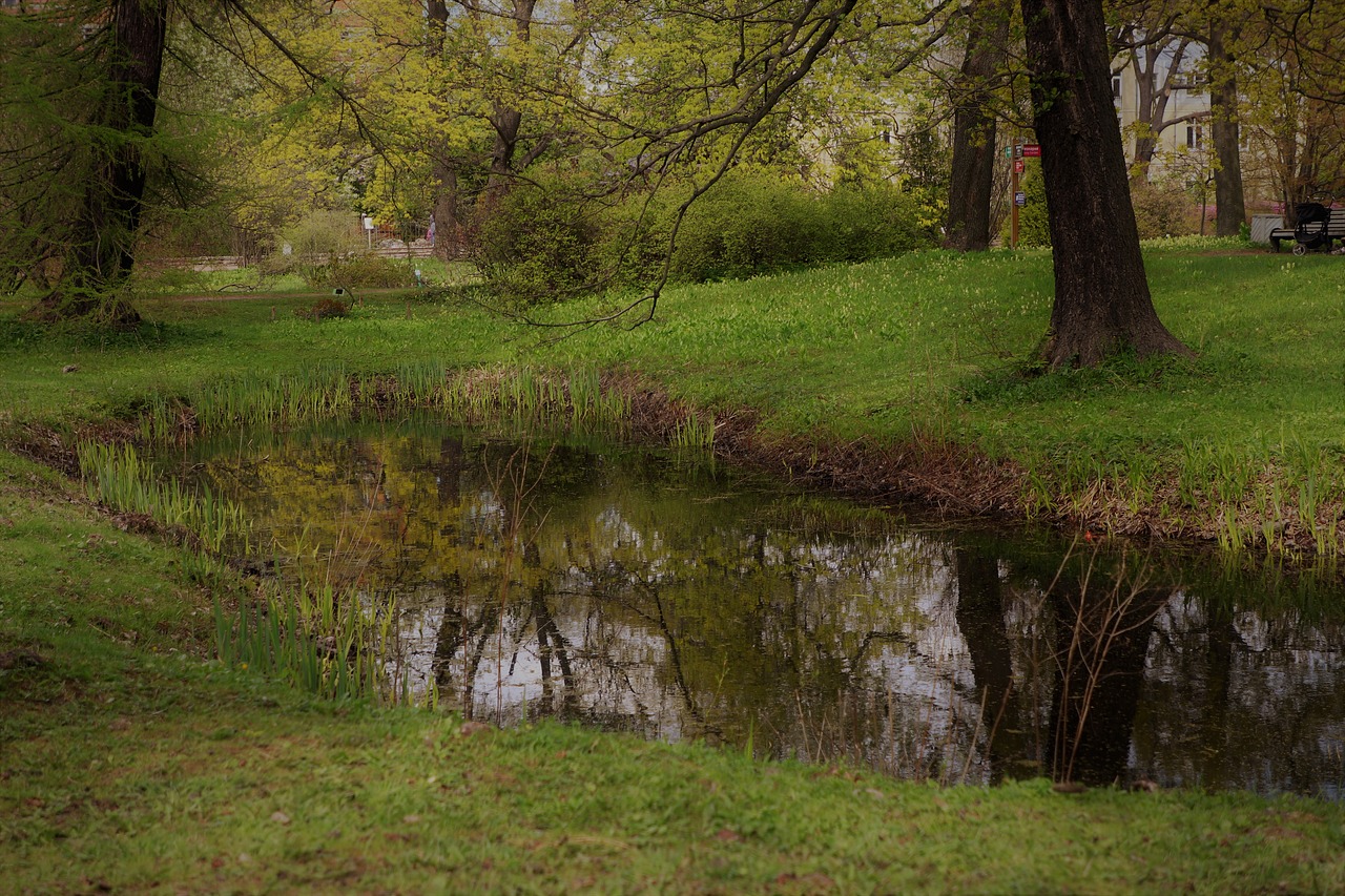 landscape  park  nature free photo