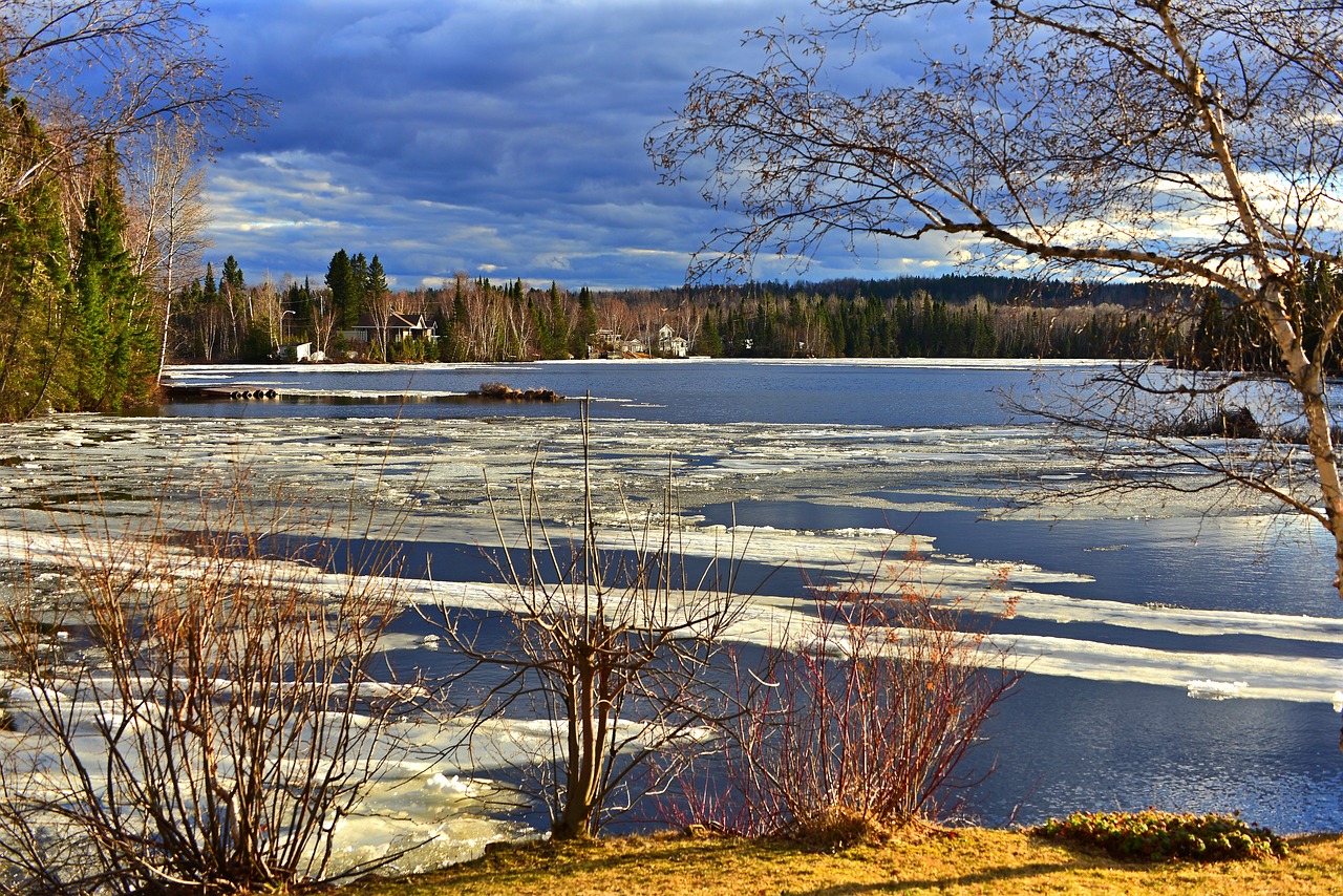 landscape  nature  ice free photo