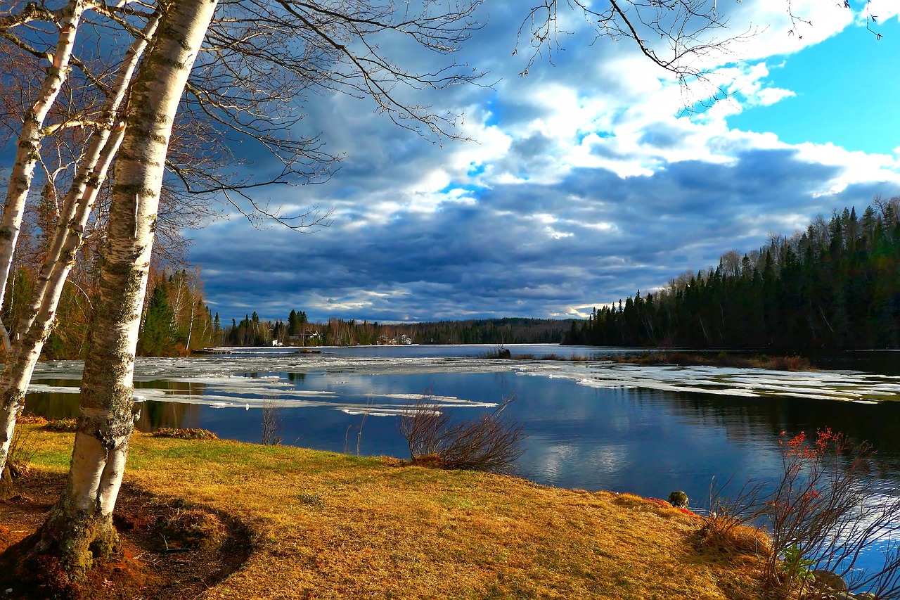 landscape  nature  water free photo