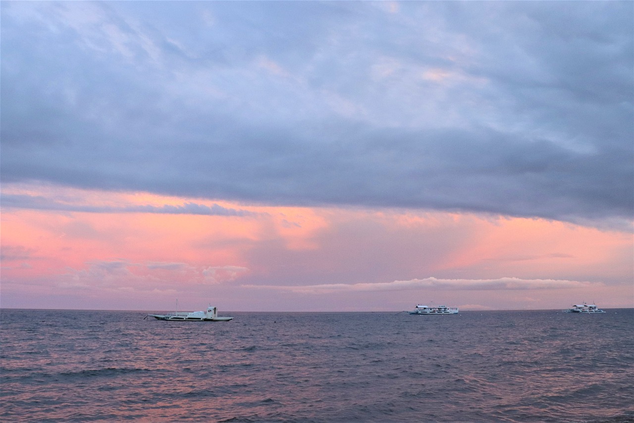 landscape  sea  evening free photo