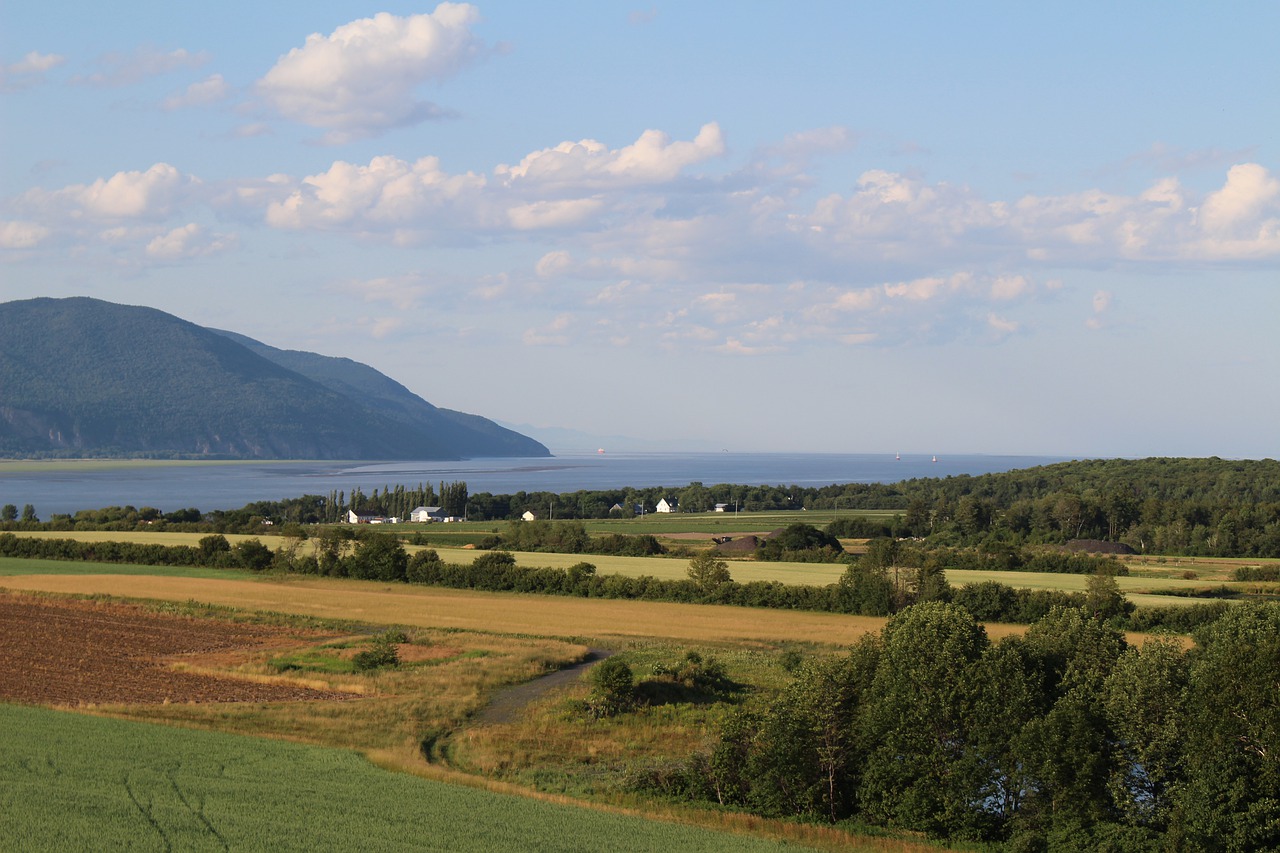 landscape  river  nature free photo