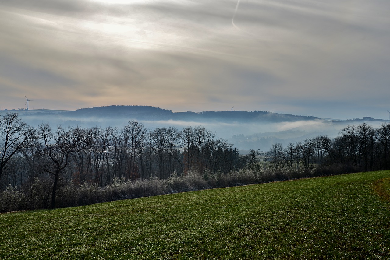 landscape  mist  fog free photo