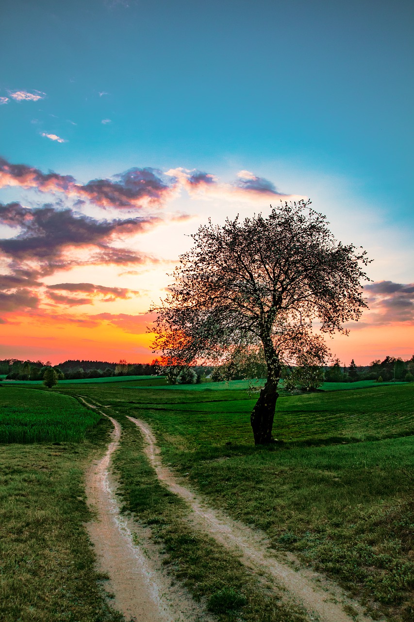 landscape  sunset  west free photo