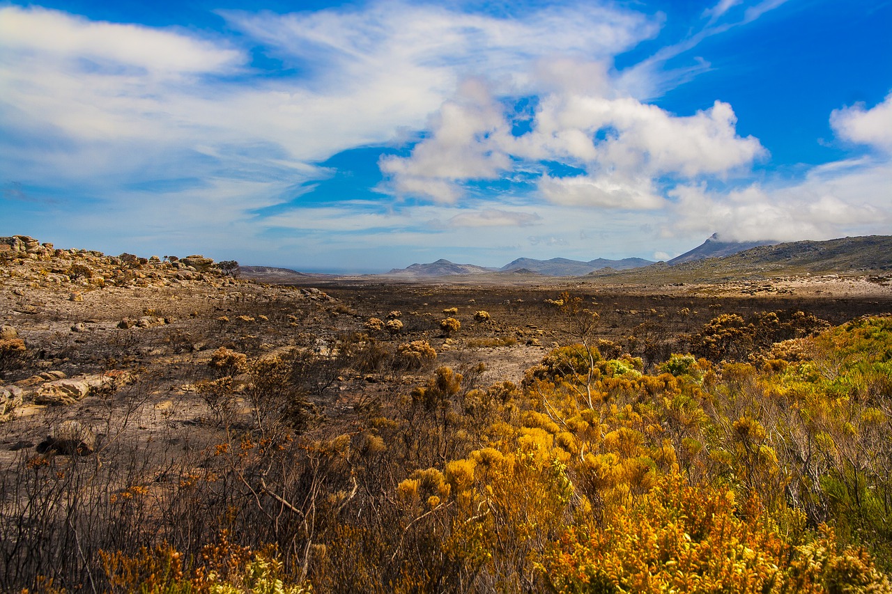 landscape  africa  nature free photo