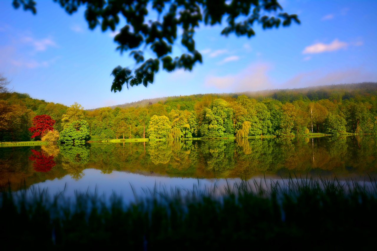 landscape  lake  park free photo