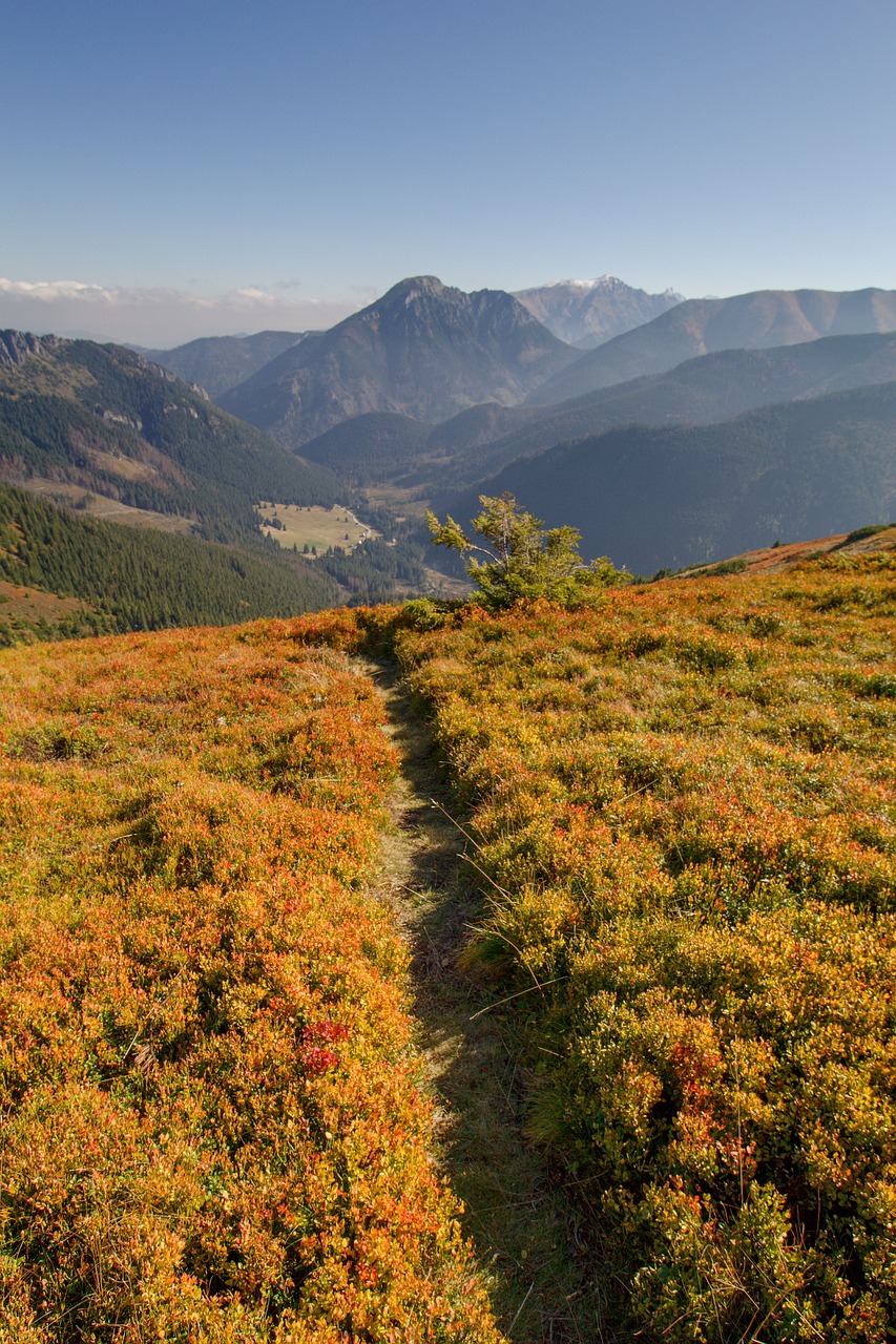 landscape  mountains  nature free photo