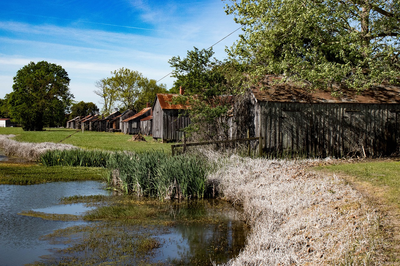 landscape  historic  louisiana free photo