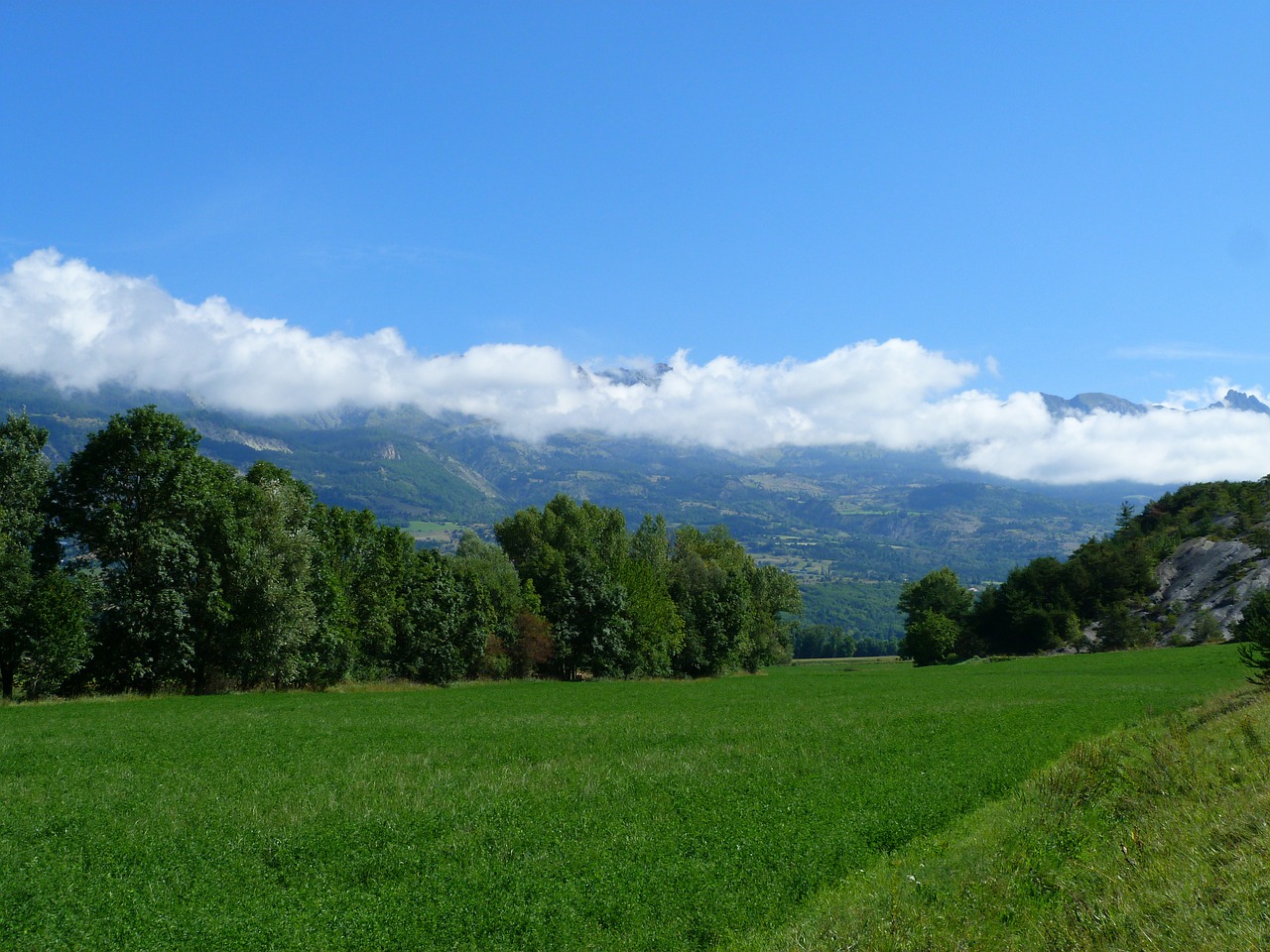 landscape nature field free photo