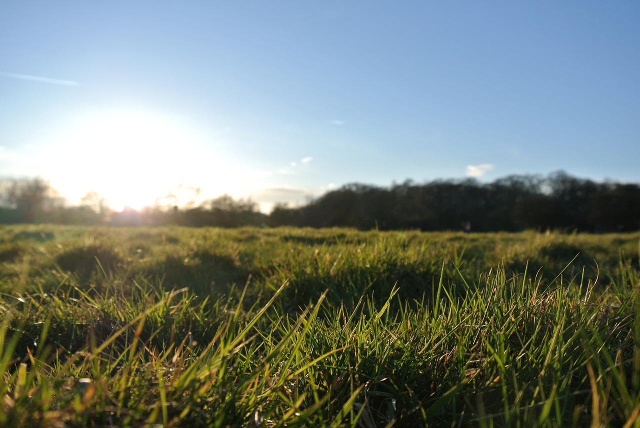 landscape  sun  sunset free photo