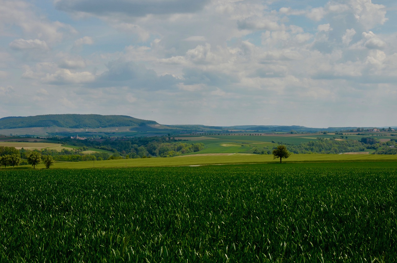 landscape  panorama  clouds free photo