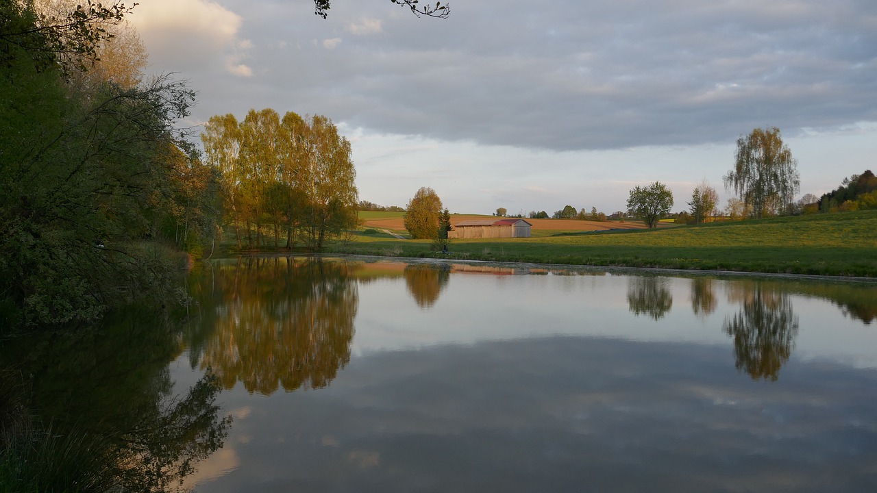 landscape  nature  lake free photo