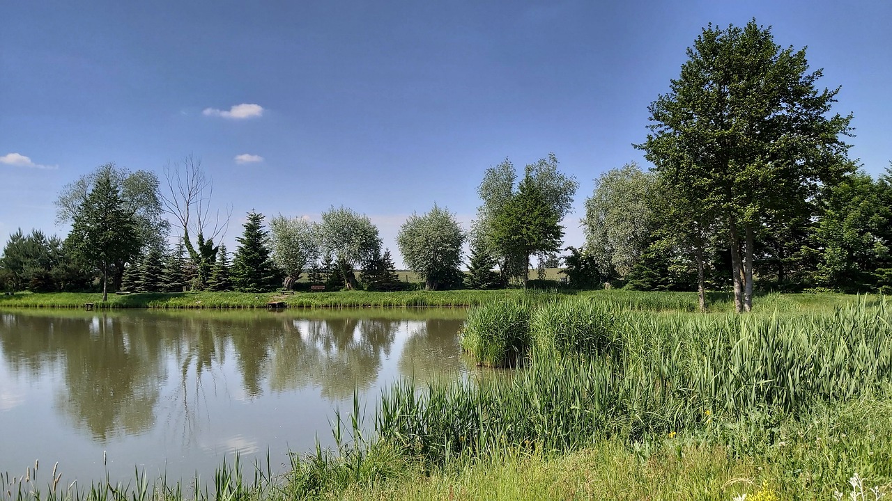 landscape  pond  lake free photo