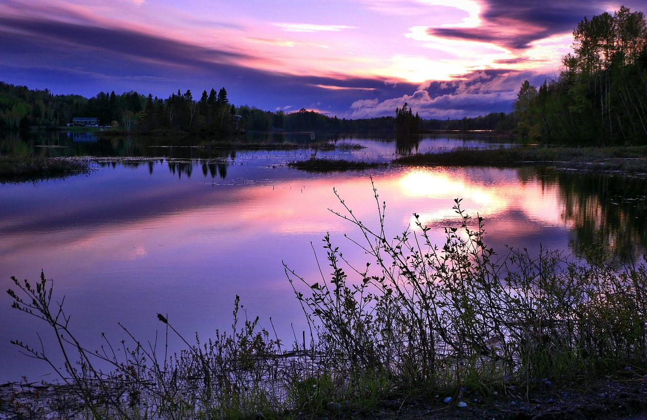 landscape  nature  clouds free photo