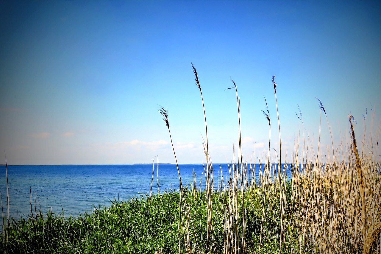 landscape  sea  baltic sea free photo